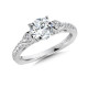 Winged Diamond Engagement Ring
