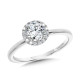 Valina Round - Classic Straight Halo Engagement Ring - R1138W-SR